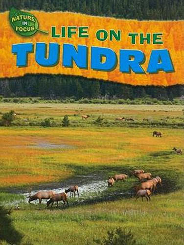 Cover image for Life on the Tundra