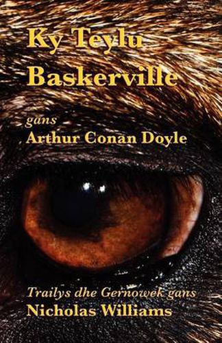 Cover image for Ky Teylu Baskerville