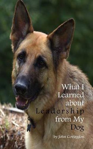 Cover image for What I Learned About Leadership From My Dog