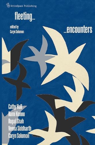 Cover image for Fleeting Encounters