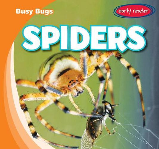 Cover image for Spiders