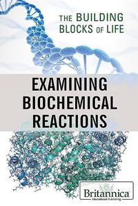 Cover image for Examining Biochemical Reactions