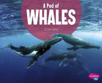 Cover image for A Pod of Whales