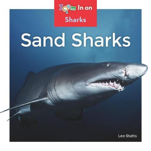 Sand Sharks