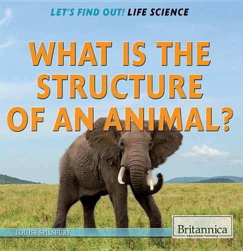 What Is the Structure of an Animal?