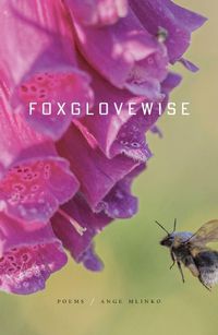 Cover image for Foxglovewise