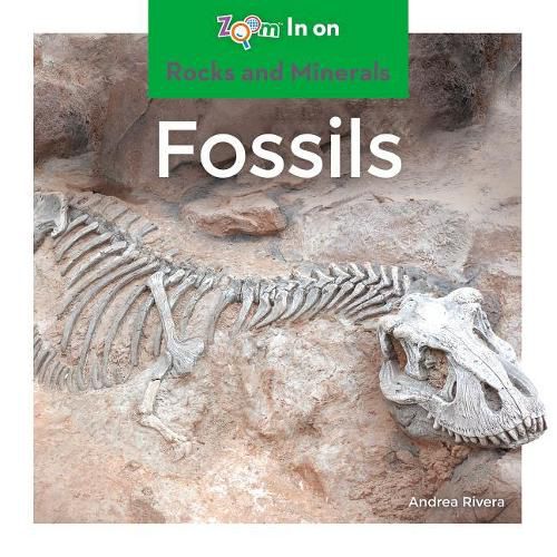 Cover image for Fossils