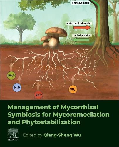 Cover image for Management of Mycorrhizal Symbiosis for Mycoremediation and Phytostabilization