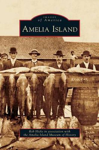 Cover image for Amelia Island