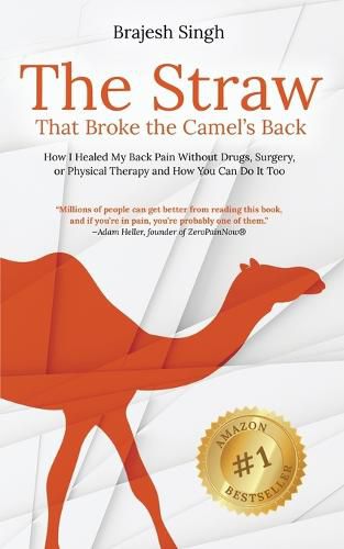 Cover image for The Straw That Broke the Camel's Back