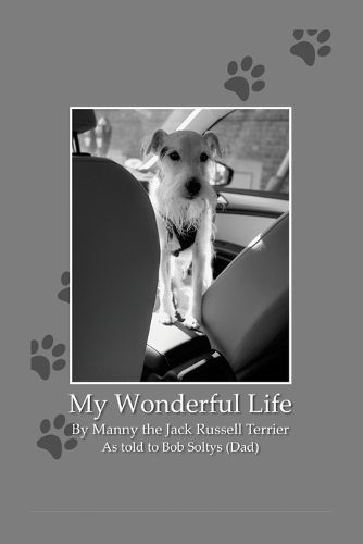 Cover image for My Wonderful Life