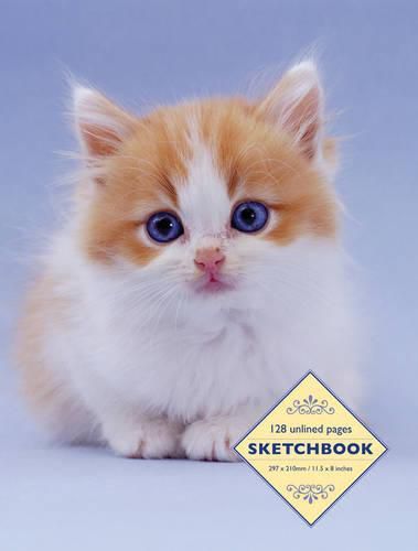 Cover image for Sketchbook: Kitten