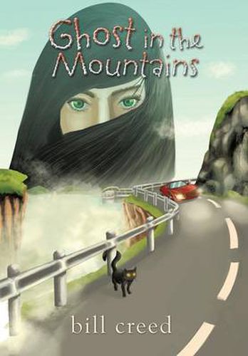 Cover image for Ghost in the Mountains