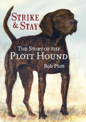 Cover image for The Story of the Plott Hound: Strike & Stay