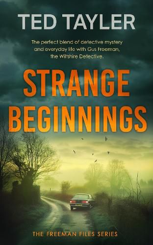 Cover image for Strange Beginnings