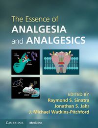 Cover image for The Essence of Analgesia and Analgesics