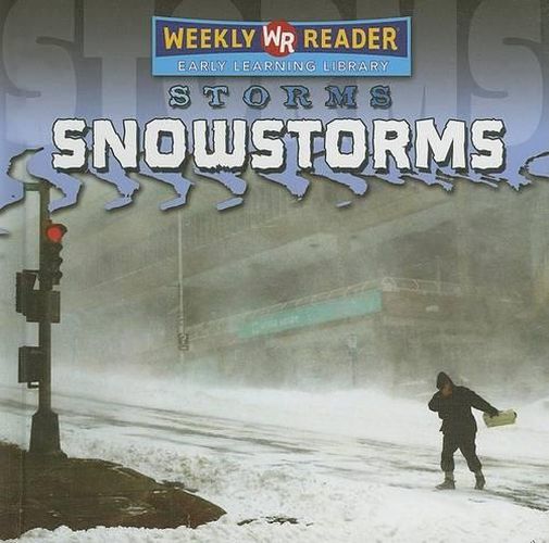 Cover image for Snowstorms