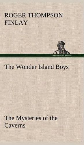 Cover image for The Wonder Island Boys: The Mysteries of the Caverns