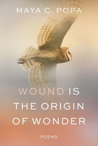 Cover image for Wound Is the Origin of Wonder: Poems