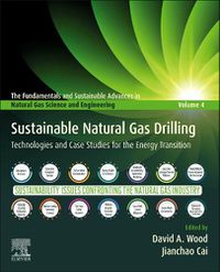 Cover image for Sustainable Natural Gas Drilling