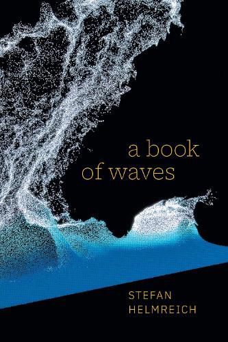 Cover image for A Book of Waves
