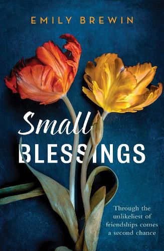 Cover image for Small Blessings