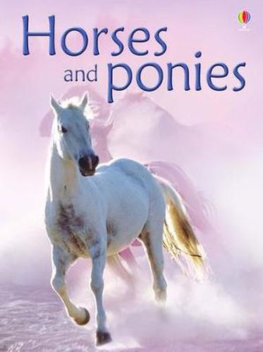 Horses and Ponies