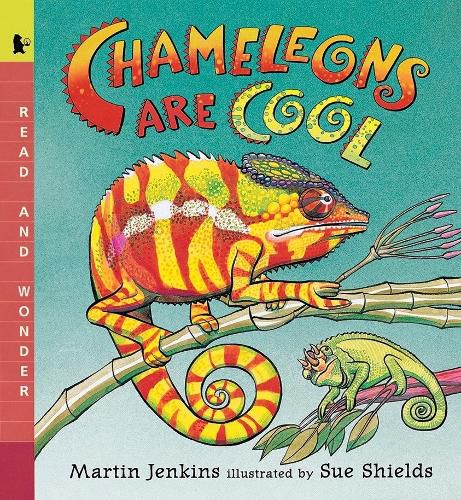Cover image for Chameleons Are Cool: Read and Wonder