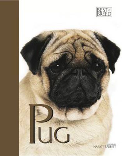 Cover image for Pug