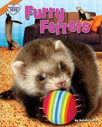 Cover image for Furry Ferrets