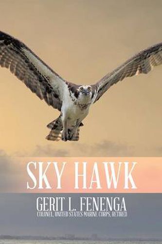 Cover image for Sky Hawk