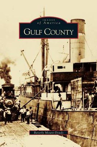 Cover image for Gulf County