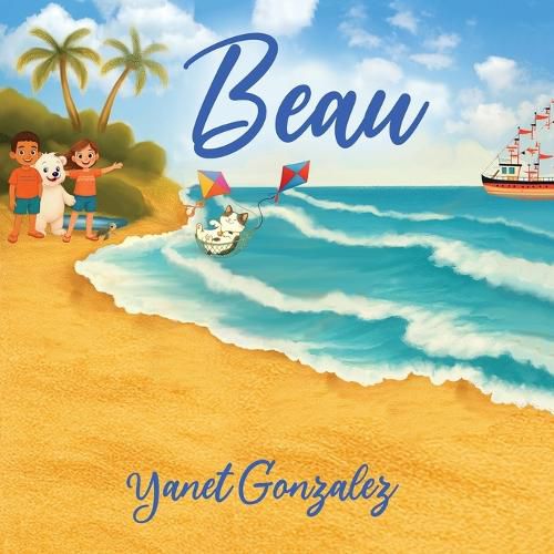 Cover image for Beau