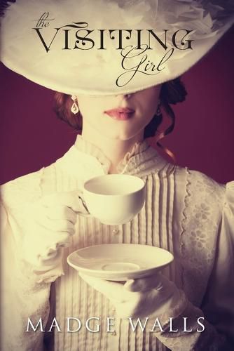 Cover image for The Visiting Girl