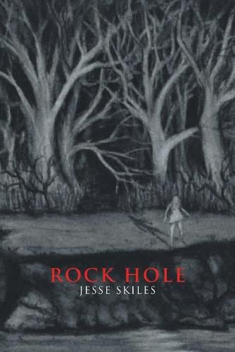 Cover image for Rockhole