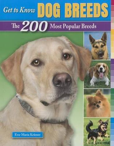 Cover image for Get to Know Dog Breeds: The 200 Most Popular Breeds