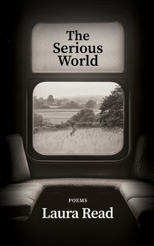 Cover image for The Serious World