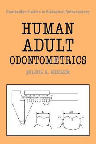 Cover image for Human Adult Odontometrics: The Study of Variation in Adult Tooth Size