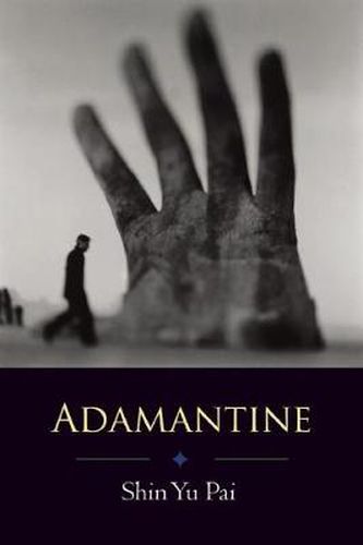 Cover image for Adamantine