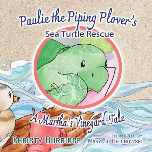 Paulie the Piping Plover's Sea Turtle Rescue