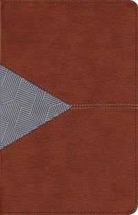 Cover image for NIV Application Bible, Personal Size, Leathersoft, Brown/Blue, Red Letter, Indexed, Comfort Print