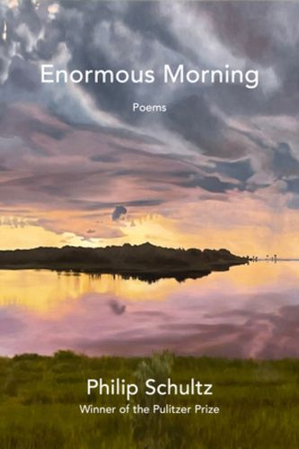 Cover image for Enormous Morning