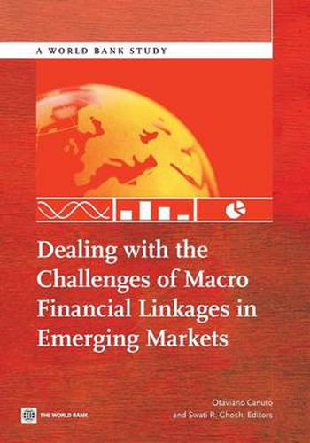 Cover image for Dealing with the challenges of macro financial linkages in emerging markets