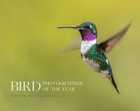 Cover image for Bird Photographer of the Year