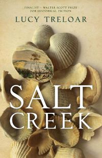 Cover image for Salt Creek