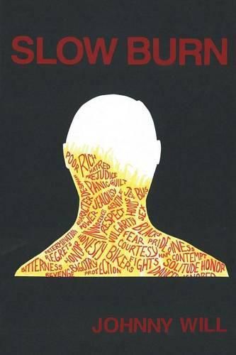 Cover image for Slow Burn