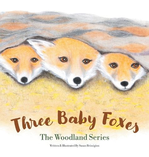 Cover image for Three Baby Foxes