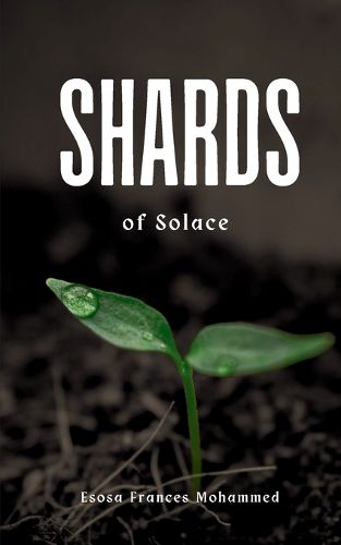 Cover image for Shards of Solace