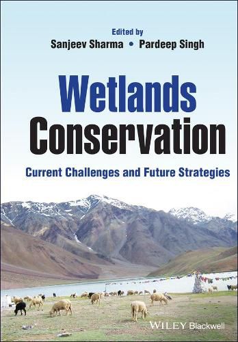 Cover image for Wetlands Conservation: Current Challenges and Future Strategies