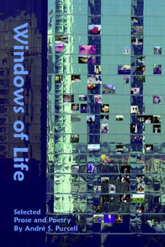 Cover image for Windows of Life